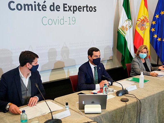 Moreno, durante la reunión del comité de expertos sobre el Covid-19, reunido este domingo en San Telmo