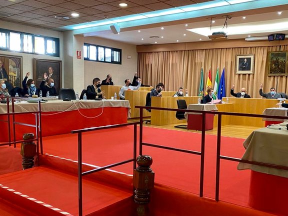 Pleno de Vélez-Málaga