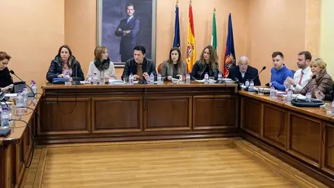 Imagen del pleno de Torrox
