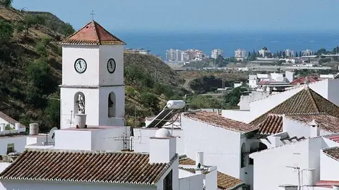 Algarrobo