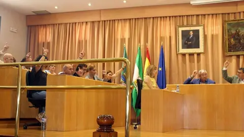 Imagen del pleno veleño