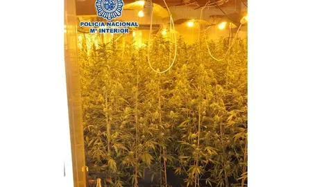 Droga en Vélez- Málaga