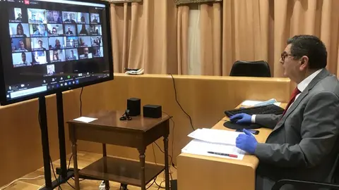Imagen del pleno telemático