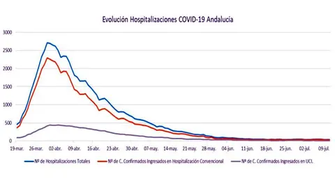Evolución de las hospitalizaciones por covid-19