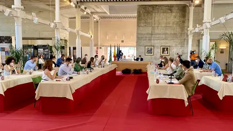 Pleno de Vélez-Málaga