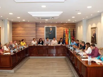 Pleno de Torrox. Archivo