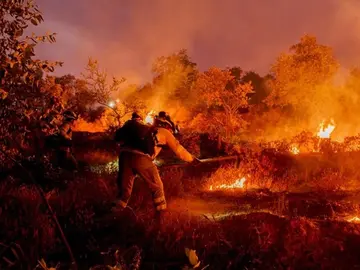 Efectivos de Infoca trabajando en un incendio. Archivo 112