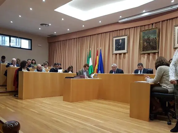 Pleno enero 2017