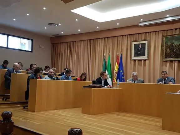 pleno Vélez-Málaga