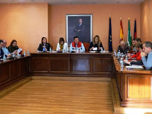 Pleno Ordinario de Torrox