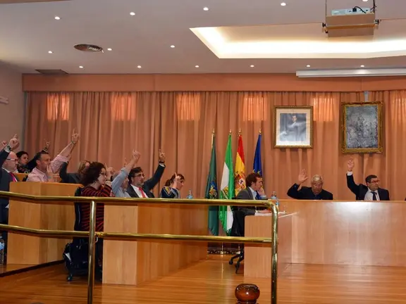 Momento de la votación en el pleno