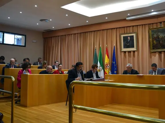 Imagen del pleno de Vélez-Málaga