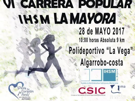 Cartel de la carrera pupular de La Mayora