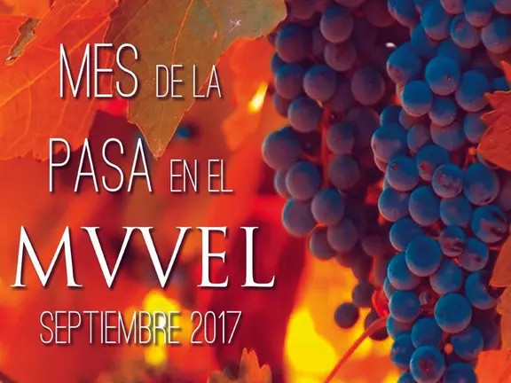 Cartel del Mes de la Pasa