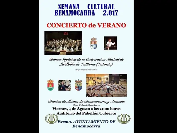 Concierto Bandas de Música