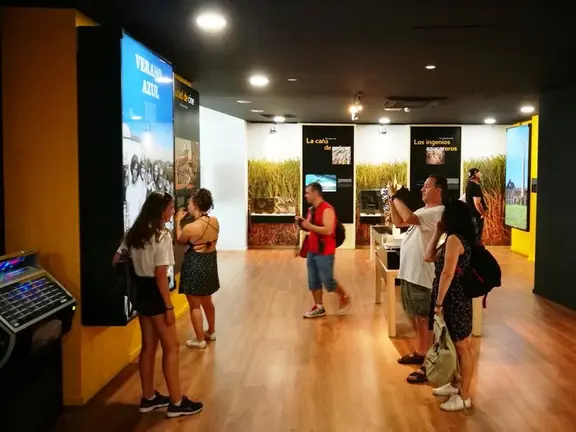 Visitas Museo Nerja Verano