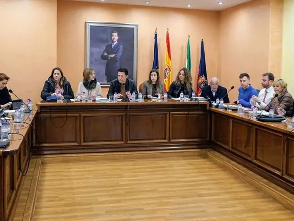 Imagen del pleno de Torrox