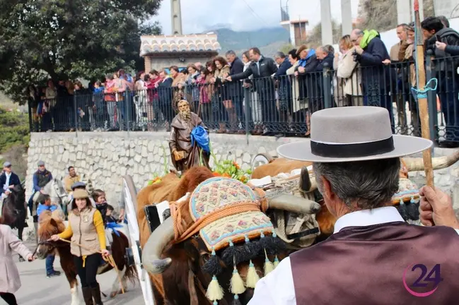 Árchez. San Antón, 2018.