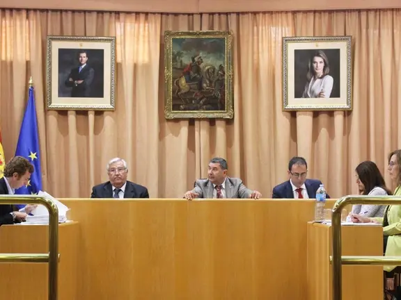 Imagén de archivo del pleno veleño