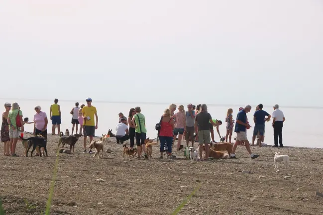 Playa Canina Torrox