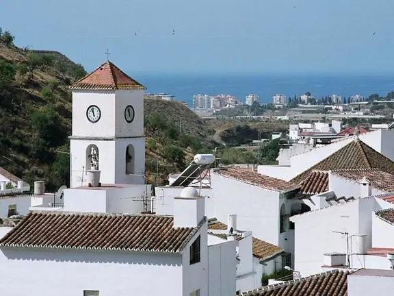 Algarrobo