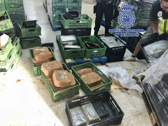 Media tonelada de cocaína en comida congelada