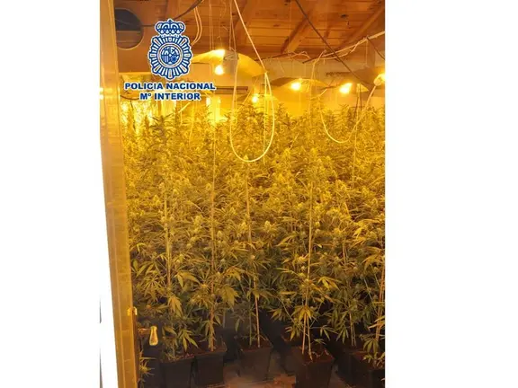 Droga en Vélez- Málaga