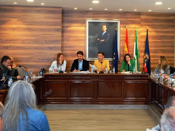 Pleno Ordinariode Torrox