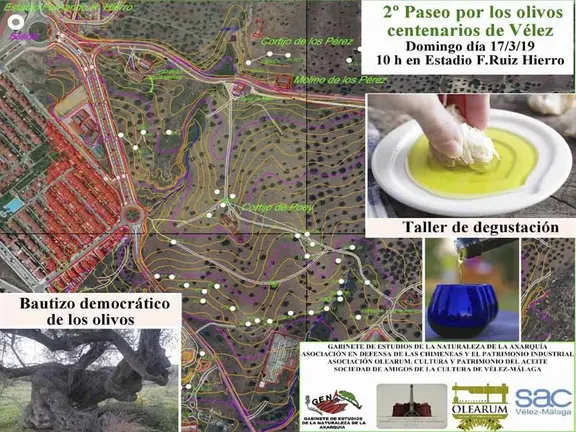 11-FOTOMEDIDAS WEB