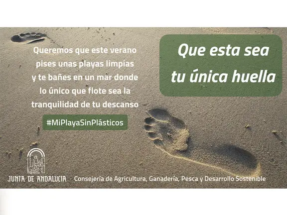 190822_Campaña huella sin plásticos playas