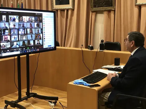 Moreno Ferrer en el salon de plenos vía telemática