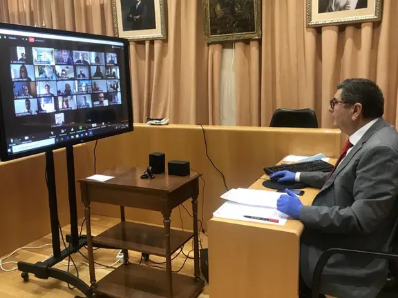 Imagen del pleno telemático