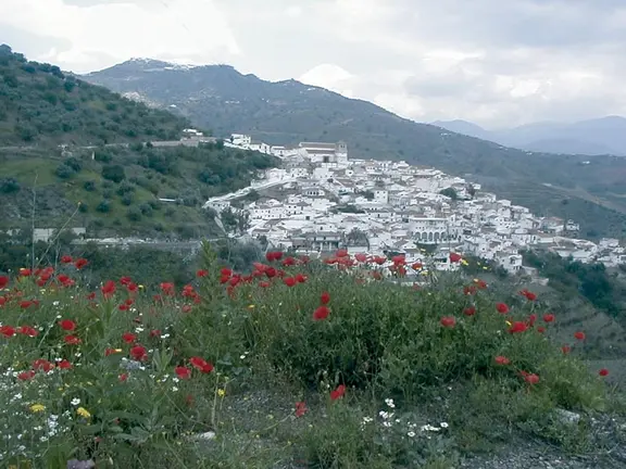 Cútar
