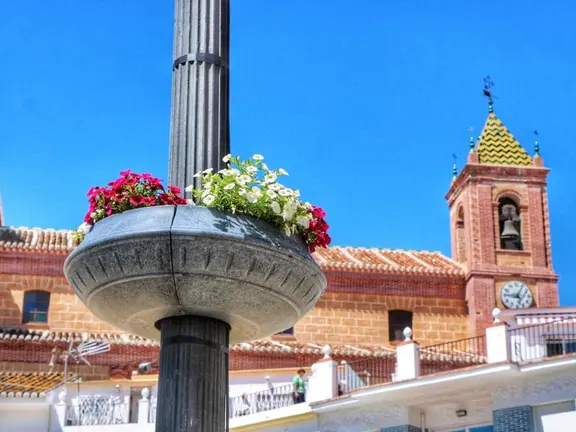 Macetero en la plaza de Torrox
