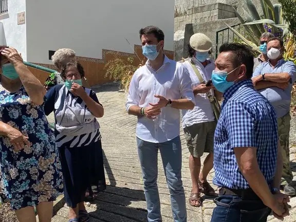Pino en Cajiz