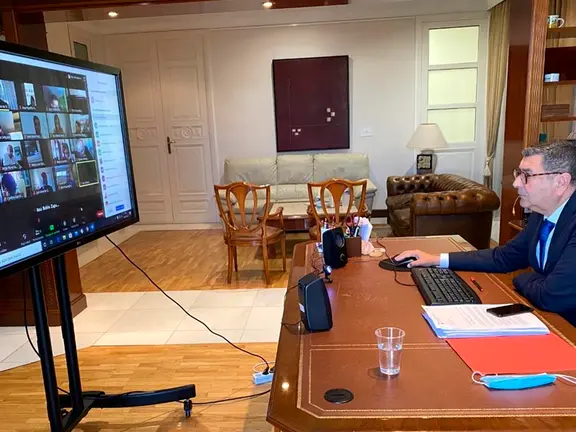 Moreno Ferrer en el pleno telemático