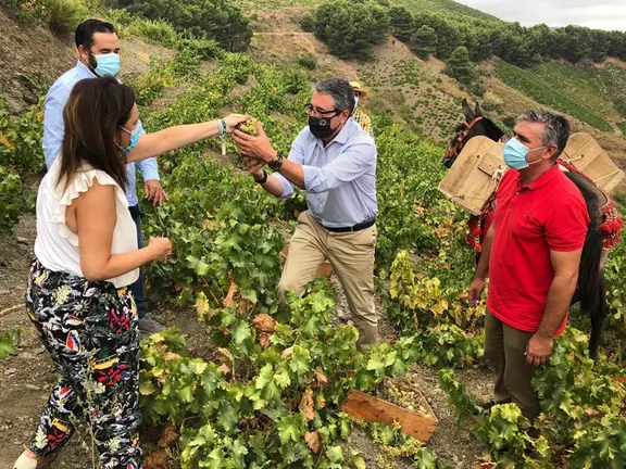 Salado y Yuste en una viña