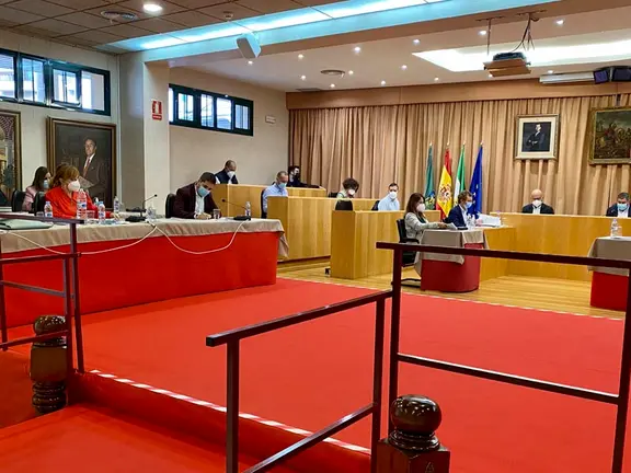 Pleno de Vélez-Málaga