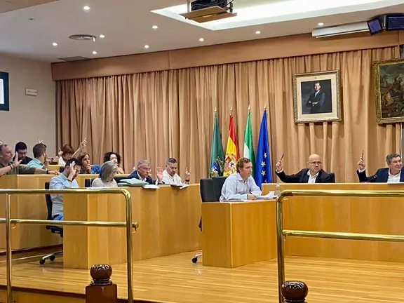 Pleno de Vélez-Málaga. Archivo