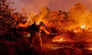 Efectivos de Infoca trabajando en un incendio. Archivo 112