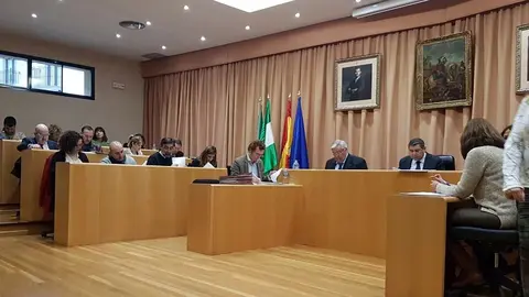 Pleno enero 2017