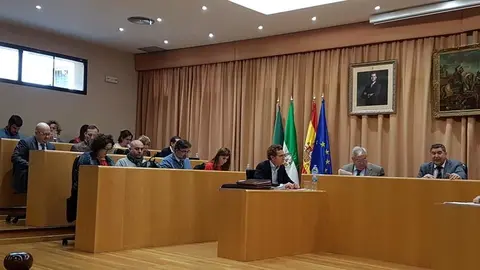 pleno Vélez-Málaga