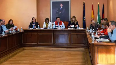 Pleno Ordinario de Torrox
