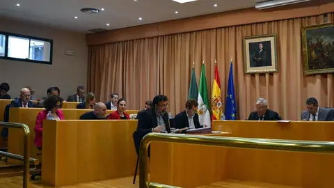 Imagen del pleno de Vélez-Málaga