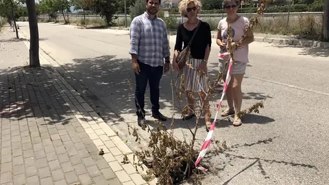 Los ediles de IU en Chilches