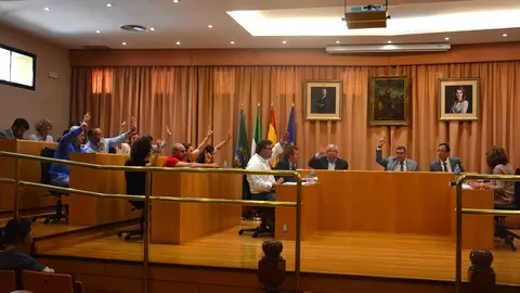 pleno extraordinario velez