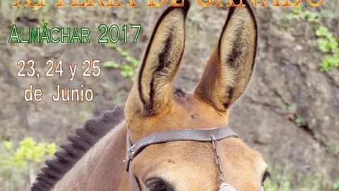 Cartel de la Feria de Ganado de Almáchar