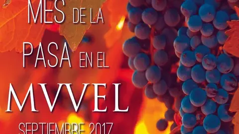 Cartel del Mes de la Pasa