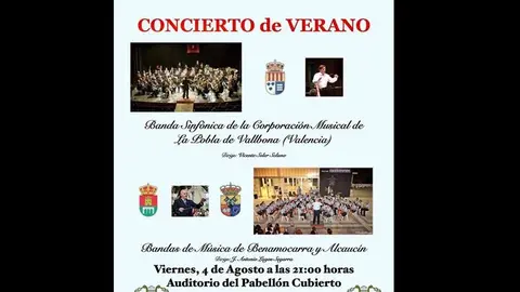 Concierto Bandas de Música