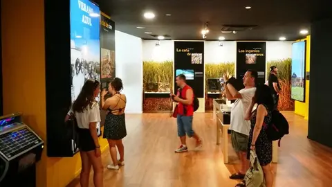 Visitas Museo Nerja Verano